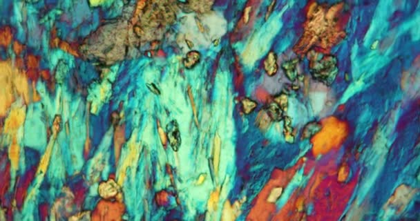 Seção de pedra de ardósia de clorito sob o microscópio em luz polarizada - Filmagem, Vídeo