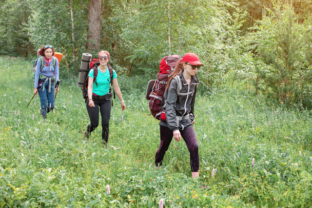 Three cheerful friends are traveling on a Hiking route in a natural Park in the wild forest. Concept of team building and group recreational activities - Photo, Image
