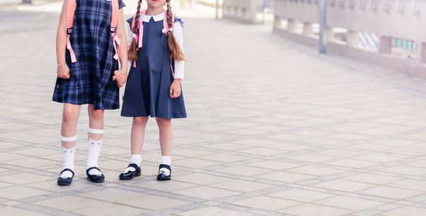 Okul üniformalı ve sırtlarında sırt çantaları olan iki kız öğrenci el ele tutuşuyorlar. Yatay fotoğraf - Fotoğraf, Görsel