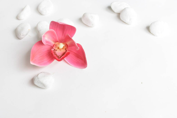 White stones and candle with pink orchid in white background. white pebbles. Concept of balance and harmony. Calm and spirit, spa stones and zen, peace, meditation, spiritual, abstract, beauty - Фото, изображение