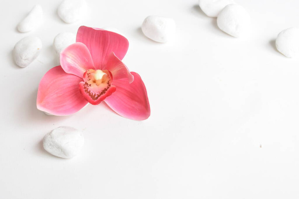 White stones and candle with pink orchid in white background. white pebbles. Concept of balance and harmony. Calm and spirit, spa stones and zen, peace, meditation, spiritual, abstract, beauty - Photo, Image