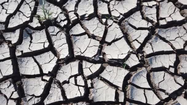 Grijs droog gebarsten aarde. Woestijn. Diepe grote scheuren op gedehydrateerd bodemoppervlak. - Video