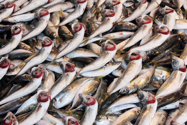 tuoreet kalat markkinoilla - Valokuva, kuva