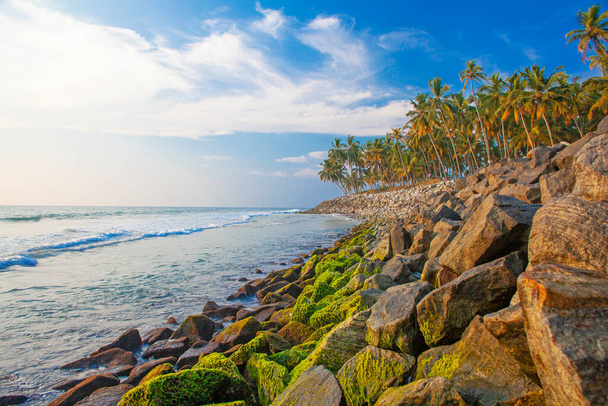 Όμορφη θάλασσα και φοίνικες γύρω από Varkala παραλία, Κεράλα, Ινδία - Φωτογραφία, εικόνα