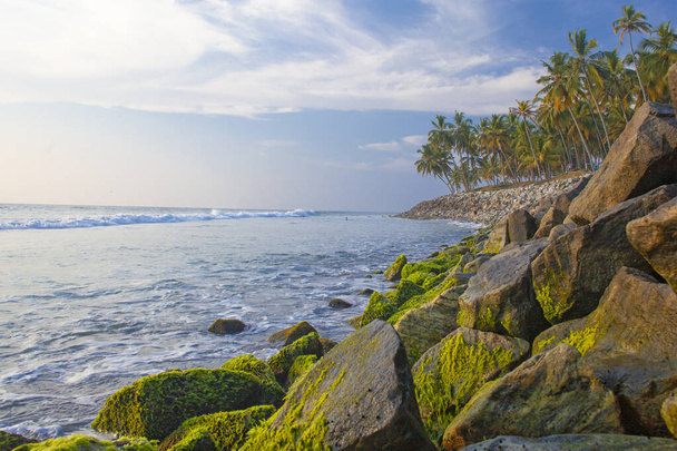 Piękne morze i palmy wokół plaży Varkala, Kerala, Indie - Zdjęcie, obraz