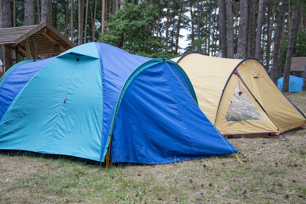 Туристические палатки в лесу на поляне. Летние путешествия и отдых на природе. - Фото, изображение