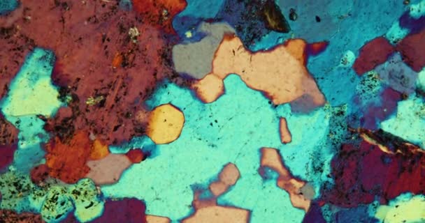 Gneiss seção fina de pedra sob o microscópio em luz polarizada - Filmagem, Vídeo
