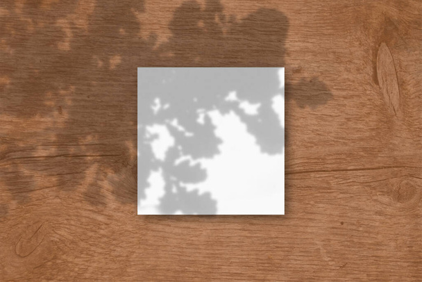 Čtvercový list bílého strukturovaného papíru na dřevěném podkladu stolu. Mockup překryl rostlinné stíny. Přírodní světlo vrhá stíny z dubových listů. Plocha, pohled shora. Horizontální orientace - Fotografie, Obrázek