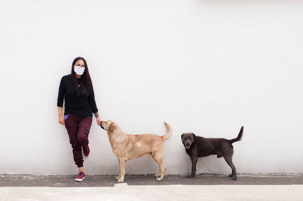 dog-loving girl leaning against a white wall with two street dogs - Photo, Image
