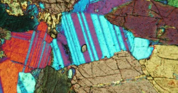 Sección de roca de anfibolita bajo el microscopio en luz polarizada - Metraje, vídeo