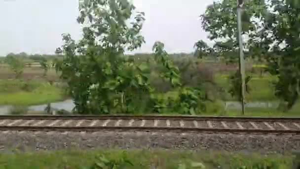 Pěkný pohyb indického train.train pohybující se na železniční trať.train pohybující se po železnici podél zelených stromů. - Záběry, video