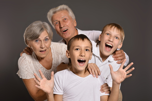 Grandparents with grandkids - 写真・画像