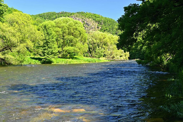 Piękny letni krajobraz z rzeką, lasem, słońcem i błękitnym niebem. Naturalne kolorowe tło. Rzeka Jihlava, Czechy - Europa. - Zdjęcie, obraz