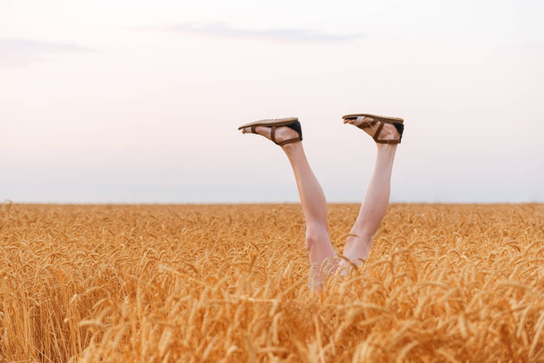 jambes de femmes sortant du champ de blé par une journée ensoleillée. Concept de bonheur de loisirs. - Photo, image
