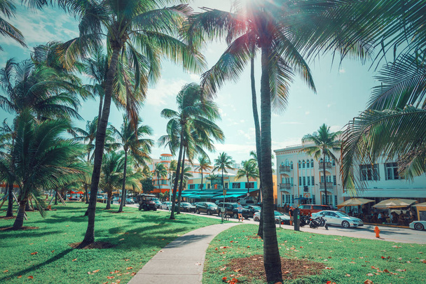 Miami Beach, USA - 2019. február 26.: Kókuszpálmafák a világhírű Ocean Drive-on South Beach-en - Fotó, kép