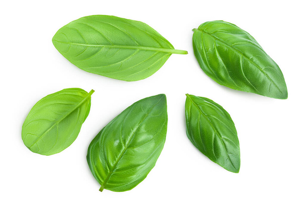 Fresh basil leaf isolated on white background with clipping path and full depth of field. Top view. Flat lay - Foto, Imagem