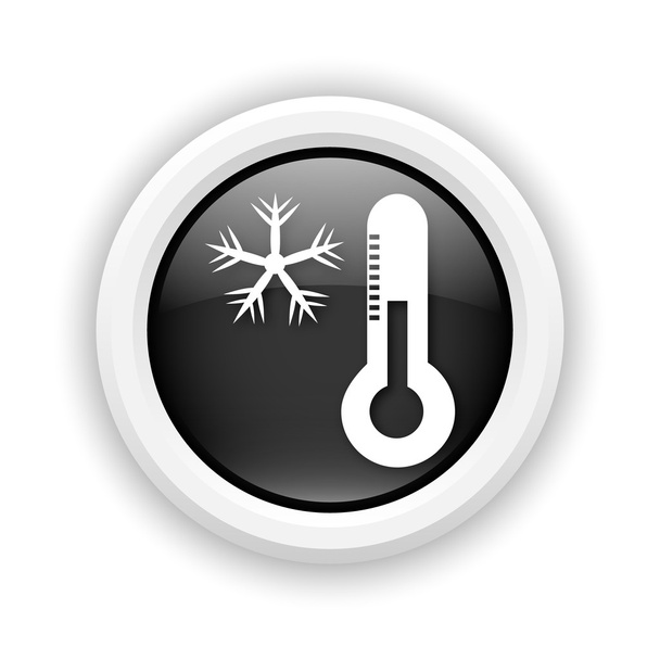 Floco de neve com ícone do termômetro
 - Foto, Imagem