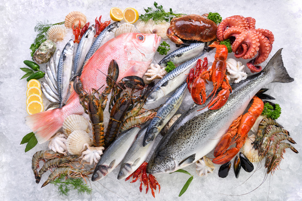 Вид зверху на різноманітність свіжої риби та морепродуктів на льоду
  - Фото, зображення