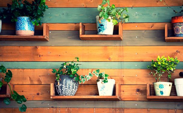Vintage wooden wall with flower pots. Home rustic decor, cottage living concept. - Φωτογραφία, εικόνα