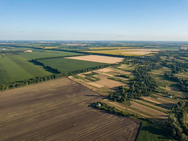 空中ドローンビュー。夏のウクライナの農業分野. - 写真・画像
