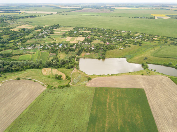 Zelená pole kukuřice a slunečnice na Ukrajině. Zobrazení leteckých dronů. - Fotografie, Obrázek