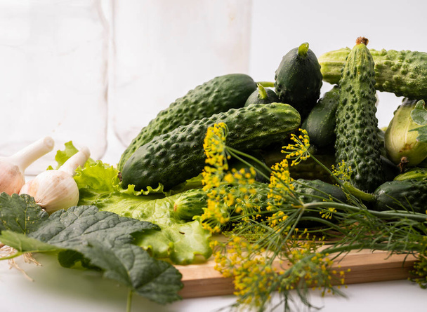 Fresh cucumbers, garlic and herbs. The process of preserving cucumbers. - Foto, afbeelding