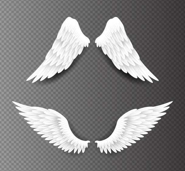 Par de hermosas alas de ángel blanco aisladas sobre fondo transparente, ilustración vectorial realista en 3D. Espiritualidad y libertad - Vector, imagen