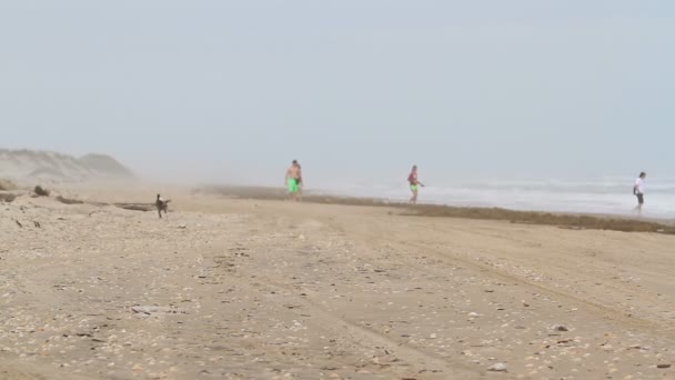 pláž - Záběry, video