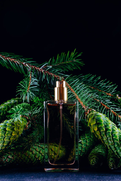 Perfume bottle on the background of pine branches with cones. Smell of Christmas concept - Fotografie, Obrázek