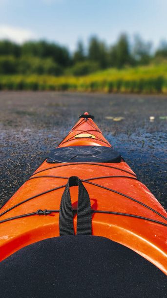 Le kayak rouge flotte sur un lac avec de l'asclépiade et des lis - Photo, image