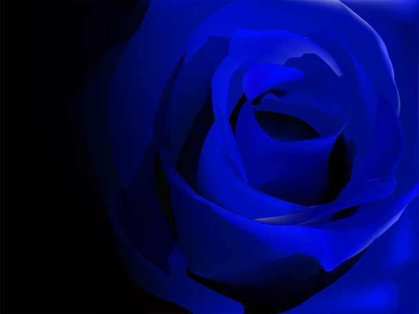 Blue rose on black vector illustration - Vector, imagen