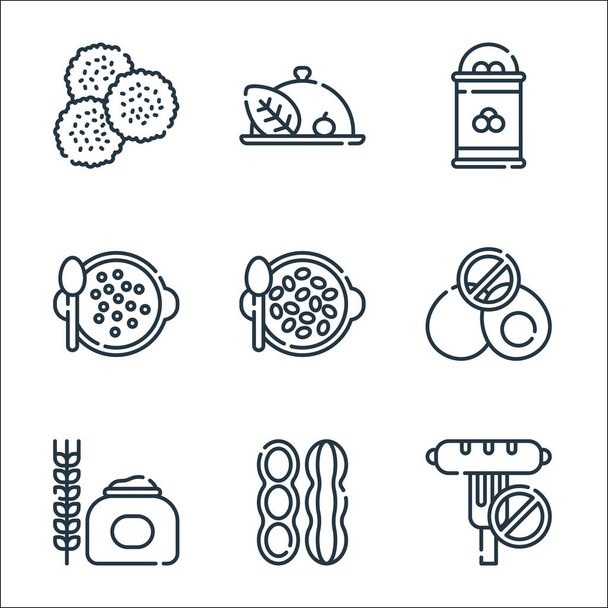 vegan food line icons. linear set. quality vector line set such as no saugage, peanuts, grains, no egg, seeds, lentils, fruit, vegan - Vector, Image