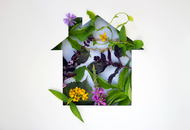 Коронавирус, защитный логотип COVID-19 на фоне природы. Форма вырезана из бумаги в виде дома с натуральными растениями и цветами внутри. Экологическая концепция. Забота о природе. Копирование пространства. - Фото, изображение