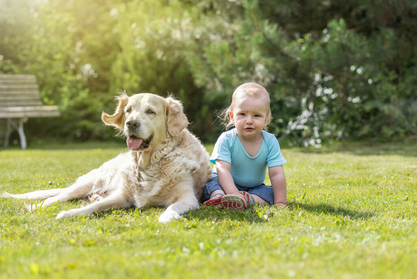Cute liitle baby boy is posing with Golden Retriever dog in the garden - Foto, Imagen