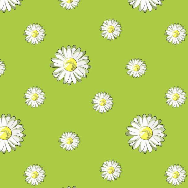 Color pattern of chamomile on a light green background. - Φωτογραφία, εικόνα