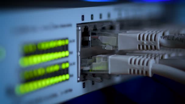 Szczegóły oświetlenia i połączeń na serwerze sieciowym. Przełączniki Ethernet z kablami lan. 4K UHD wideo. Skupienie selektywne. - Materiał filmowy, wideo