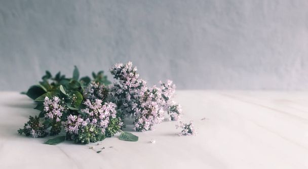 Kwiaty i liście rośliny leczniczej oregano - Zdjęcie, obraz