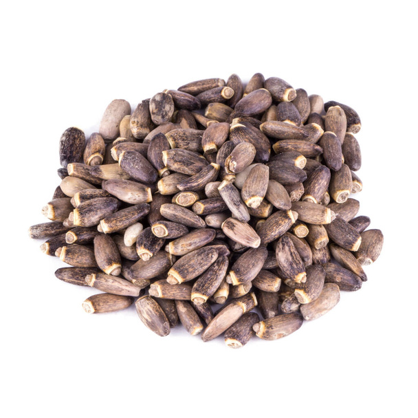 cardo o semillas de cardo mariano, plegadas en un montón y aisladas sobre un fondo blanco, macrofoto con la textura de la semilla - Foto, imagen