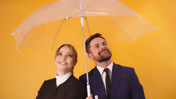 透明傘の下に身を隠す男と女の仕事仲間 - 写真・画像