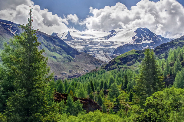 Látványos kilátás nyílik a zöld völgyre a Forni gleccser, Valtellina Lombardy.A gleccser kiemelkedik minden nagyságát tetején fehér felhők és uralja a zöld völgy fenyőfák. - Fotó, kép