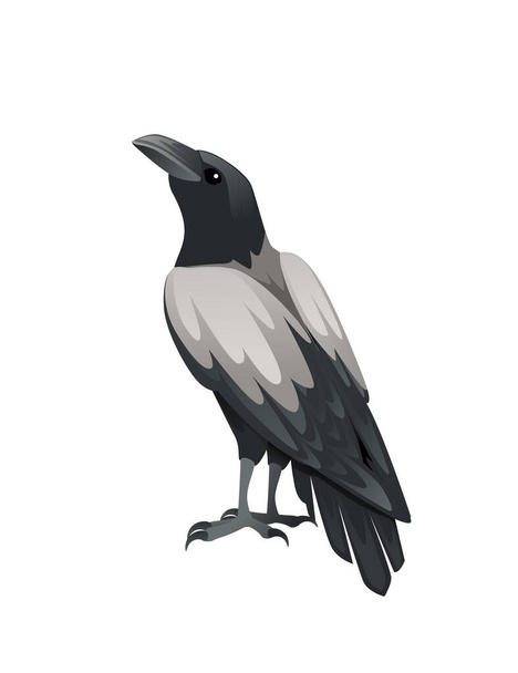Pájaro depredador adulto negro y gris cuervo dibujos animados diseño animal aves de rapiña carácter plano vector ilustración aislado sobre fondo blanco. - Vector, imagen
