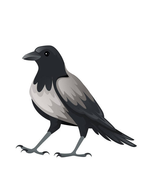 Raubvogel Erwachsene schwarz und grau Krähe Cartoon Tier Design Raubvögel Charakter flache Vektor Illustration isoliert auf weißem Hintergrund. - Vektor, Bild