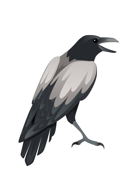 Yırtıcı kuş yetişkin siyah ve gri karga çizgi film hayvan tasarımı kuşlar yırtıcı karakter düz vektör çizimi beyaz arka planda izole. - Vektör, Görsel