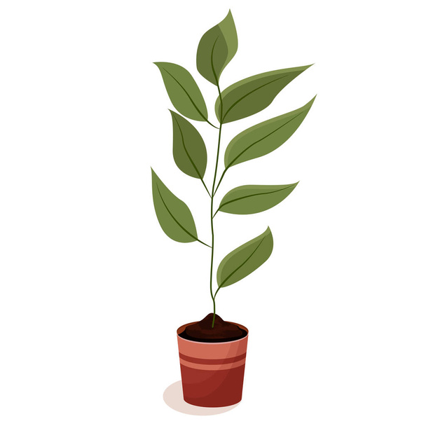 Home plant with green leaves in a pot. Plant and ecology design for greeting card, menu, banner, sticker, advertisement, poster. Flat vector illustration: homemade flower in a pot on white background - Vector, Image