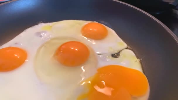 Cucinare uova fritte fatte in casa su una padella per una colazione mattutina. 4k primo piano video di cottura del cibo - Filmati, video
