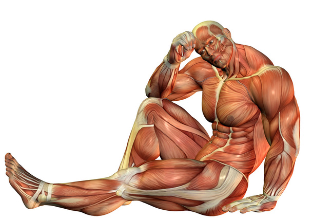 Muskelaufbau Body Builder in sitzender Pose - Photo, Image