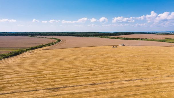 Vue aérienne de drone de beau paysage de campagne d'été. Machines agricoles sur le terrain. Combiner la moissonneuse-batteuse recueille du grain sur un champ de blé. Temps de récolte - Photo, image