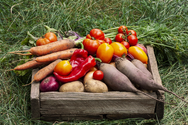 Fazenda legumes em caixa de madeira na grama
 - Foto, Imagem