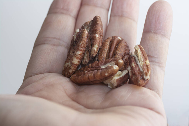 nutritious edible fresh roasted walnut - Photo, Image
