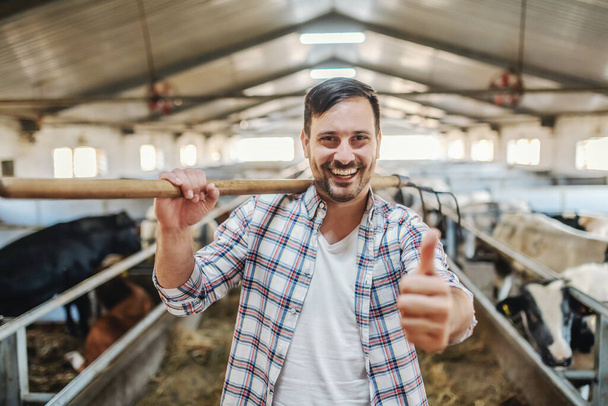 Jovem sorrindo alegre agricultor caucasiano sem barba em pé no celeiro com feno sobre o ombro e mostrando os polegares para cima
. - Foto, Imagem